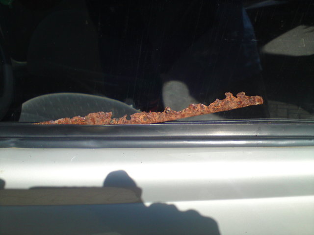 DSC00384 (FILEminimizer).jpg