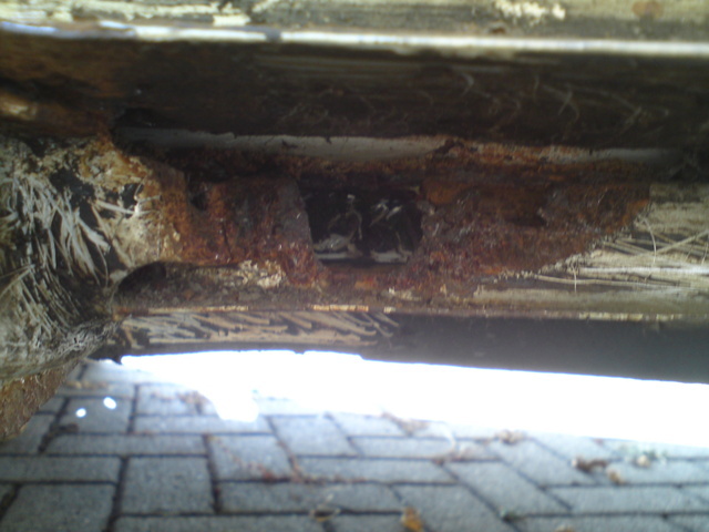 DSC00465 (FILEminimizer).jpg